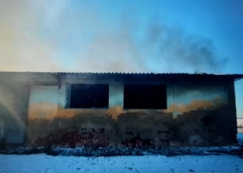 VIDEO Incendiu la o hală din Timiș. Fumul degajat a fost vizibil la zeci de metri depărtare