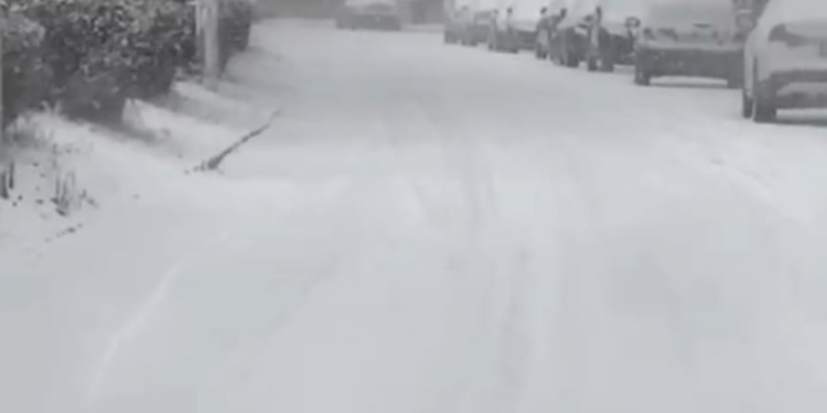 VIDEO Călin Dobra: „Lugojul este sub troiene! Domnule primar, trimiteți măcar niște utilaje din Germania, dacă dvs. nu vă mai întoarceți!”