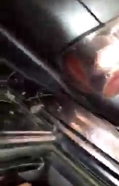 VIDEO. Scene halucinante filmate lângă Periam. ”Uite cum intră în noi!”