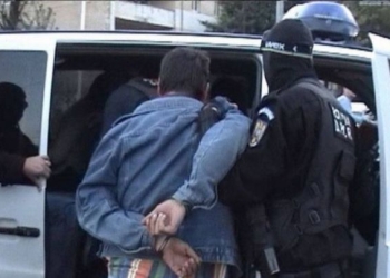 Căutați în toată Europa, găsiți la Dumbrăvița, în Timiș!