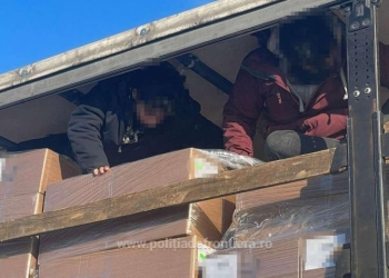 VIDEO Migranți ilegali cu zecile descoperiți într-o singură noapte, încercând să treacă granița spre Ungaria