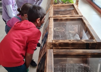 “Aventura prin lectură” a ajutat 240 de copii din mediul rural să nu abandoneze școala