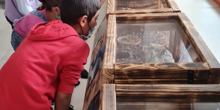 “Aventura prin lectură” a ajutat 240 de copii din mediul rural să nu abandoneze școala