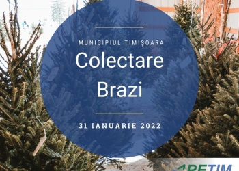 Mai sunt câteva zile în care RETIM preia gratuit brazii de Crăciun