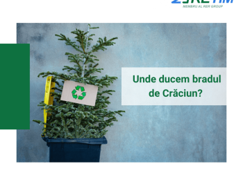 „O, brad frumos” s-a încheiat, RETIM ridică brazii de Crăciun