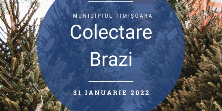 Mai sunt câteva zile în care RETIM preia gratuit brazii de Crăciun