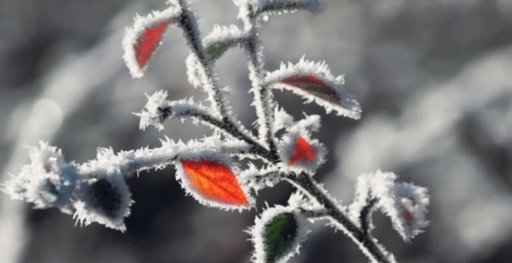 Temperaturi maxime de până la 14 grade, în Timiș