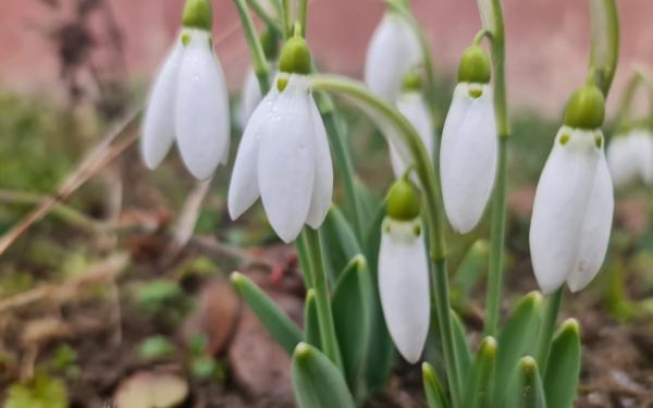 Vreme de primăvară la Timișoara