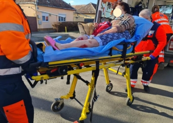 O femeie a fost atacată și rănită de doi pibulli