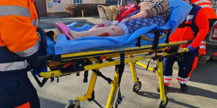 O femeie a fost atacată și rănită de doi pibulli