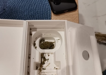 VIDEO Kilograme multe de droguri, bani și rețineri după descinderile de joi, la persoane suspectate de trafic de droguri din Timișoara și Giroc