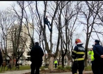 VIDEO A coborât din copac, după zeci de minute de negocieri