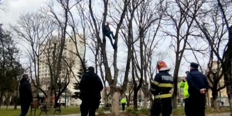 VIDEO A coborât din copac, după zeci de minute de negocieri