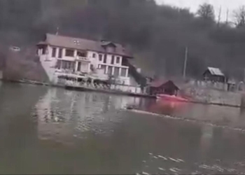 VIDEO Imagini inedite! Porc mistreț traversează Dunărea din Serbia în România, pe la Orșova