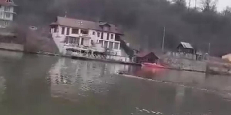 VIDEO Imagini inedite! Porc mistreț traversează Dunărea din Serbia în România, pe la Orșova