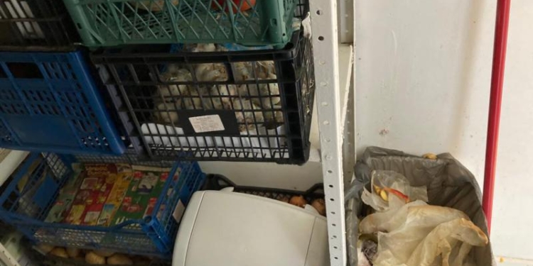 Controale la grădinițe și creșe. Inspectorii DSP Timiș au închis o grădiniță și au sancționat alte două