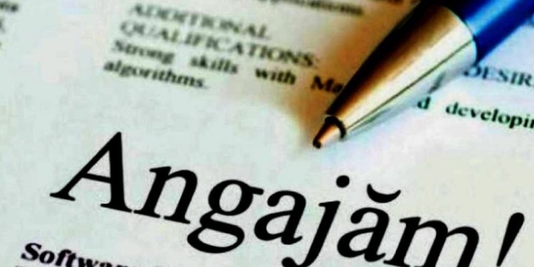 Românii care caută locuri de muncă, oferta o găsiți aici