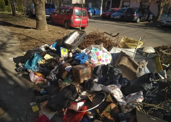 „Să moară și capra vecinului”, spune Primăria Timișoara, după amenda de la Garda de Mediu! Administratorul public al orașului trimite inspectorii pe traseul viitoarei centuri a orașului