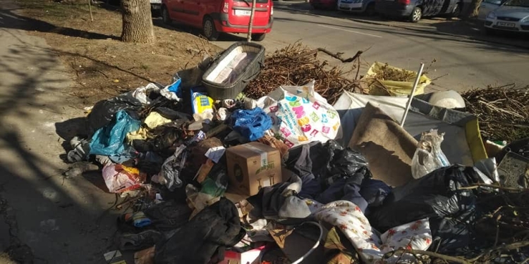 „Să moară și capra vecinului”, spune Primăria Timișoara, după amenda de la Garda de Mediu! Administratorul public al orașului trimite inspectorii pe traseul viitoarei centuri a orașului