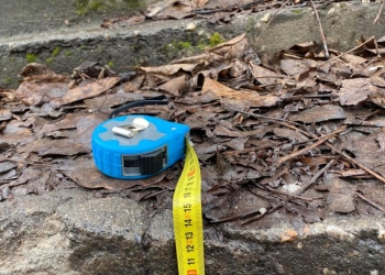 „Mizerie la metru” – o campanie civică organizată în Timișoara! Se va întocmi o „hartă a rușinii”