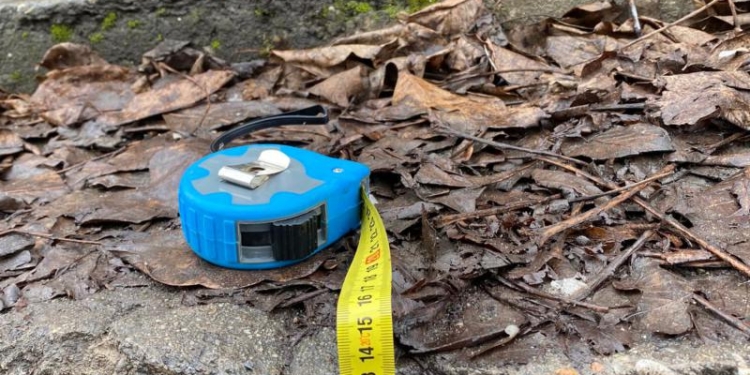 „Mizerie la metru” – o campanie civică organizată în Timișoara! Se va întocmi o „hartă a rușinii”