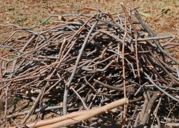 Sâmbăta curățeniei, în comuna Sânandrei