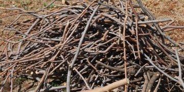 Omul gospodar…. începe curățenia de primăvară! Campanie de colectare a deșeurilor vegetale, la Sânandrei