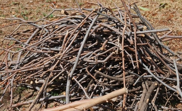 Omul gospodar…. începe curățenia de primăvară! Campanie de colectare a deșeurilor vegetale, la Sânandrei