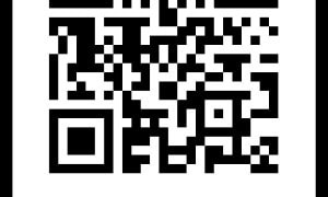 Ministrul Transporturilor anunță o aplicație care prezintă coridoarele pentru refugiați