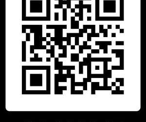 Ministrul Transporturilor anunță o aplicație care prezintă coridoarele pentru refugiați