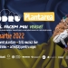 Ce faci mâine? CODRU – Invitație la plantare