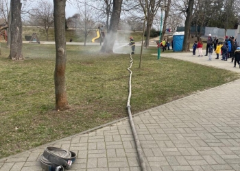 La un pas de tragedie. Un copac dintr-un parc de copii a luat foc