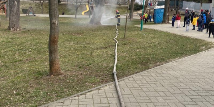 La un pas de tragedie. Un copac dintr-un parc de copii a luat foc