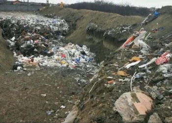 VIDEO Groapă de gunoi clandestină pe mii de metri pătrați, chiar la periferia Timișoarei