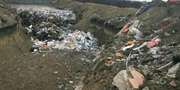 VIDEO Groapă de gunoi clandestină pe mii de metri pătrați, chiar la periferia Timișoarei