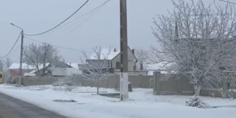 VIDEO A nins ca în povești, la Lugoj! Stratul de zăpadă a fost de câțiva centimetri
