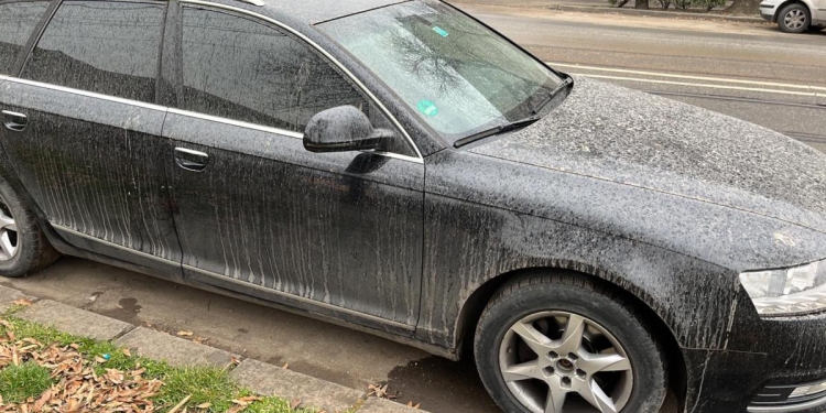 VIDEO Nor de praf saharian peste Timișoara. Șoferii și-au găsit mașinile acoperite de un strat subțire de nisip