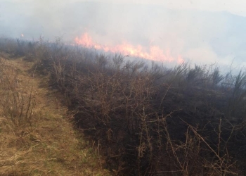 Incendiu în zona Tăuț