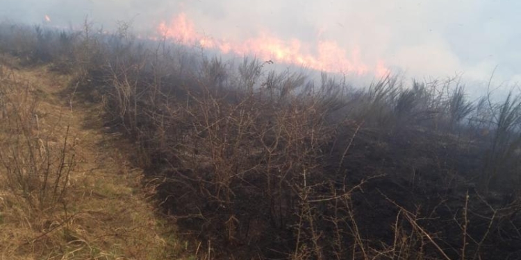 Incendiu în zona Tăuț