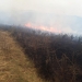 Incendiu în zona Tăuț