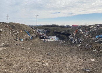 S-au găsit responsabilii pentru groapa de gunoi ilegală de la marginea Timișoarei! Și au fost amendați ca la carte