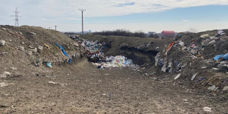 S-au găsit responsabilii pentru groapa de gunoi ilegală de la marginea Timișoarei! Și au fost amendați ca la carte