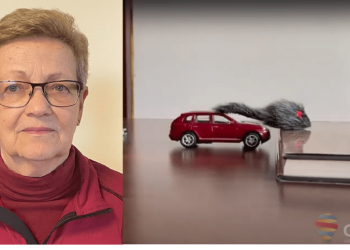 Oameni care inspiră! O profesoară din Timișoara, pensionată, continuă să-i învețe pe elevi fizică și dincolo de catedră! Filmează experimente și face fișe