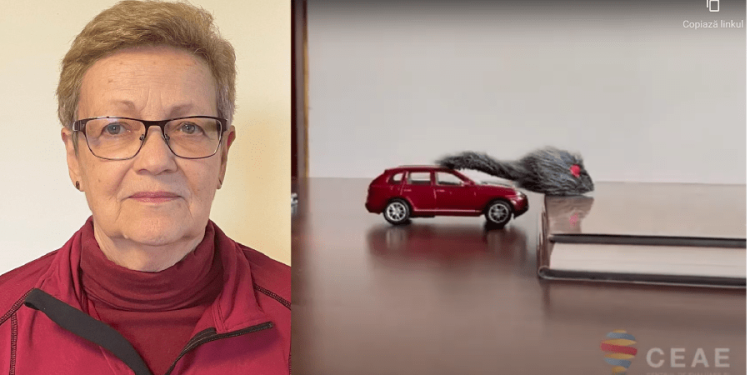 Oameni care inspiră! O profesoară din Timișoara, pensionată, continuă să-i învețe pe elevi fizică și dincolo de catedră! Filmează experimente și face fișe