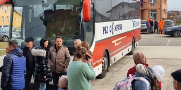 Companie de transport din Timiș sprijină gratuit refugiații din Ucraina.  Ovidiu Popa, manager „Pej”: „Românul pune umărul la greu”