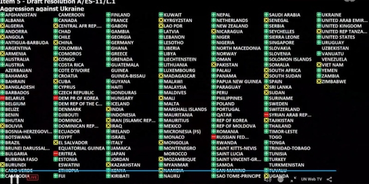 Rezoluția ONU care condamnă invazia rusă în Ucraina, a fost votată