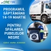 Începe igienizarea pubelelor din Timișoara! Vezi aici programul săptămânii