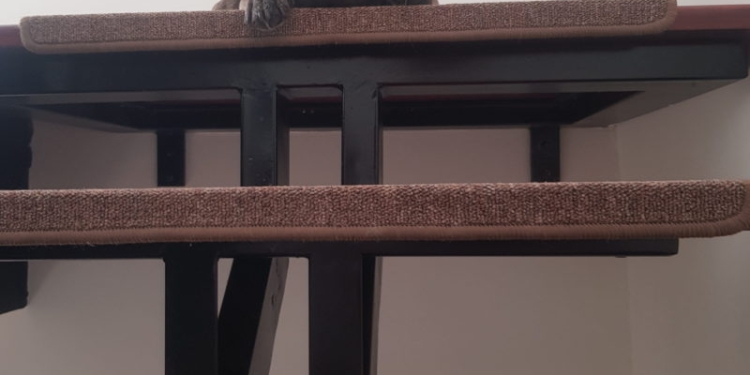 7 ani de închisoare pentru acte de violență și cruzime față de animale