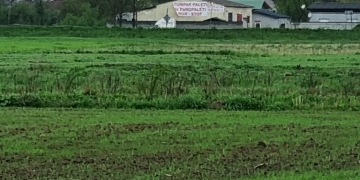 VIDEO Fenomen similar unei tornade la Lugoj!