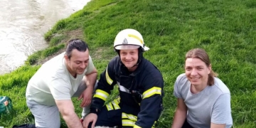 Un miel a fost salvat de pompieri chiar în ziua de Paște